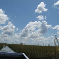 Everglades FL Airboat Rides