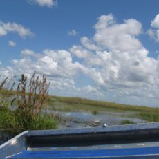 Everglades FL Airboat Rides