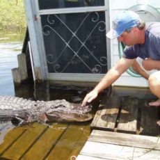 airboat tours in everglades 1