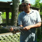 Everglades Activities