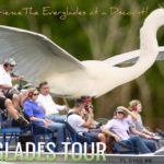 Everglades tour