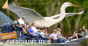 Everglades tour