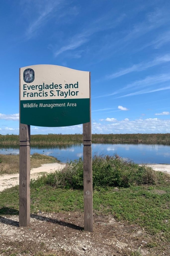 Everglades and Francis S. Taylor Wildlife Management Area Weston, Florida