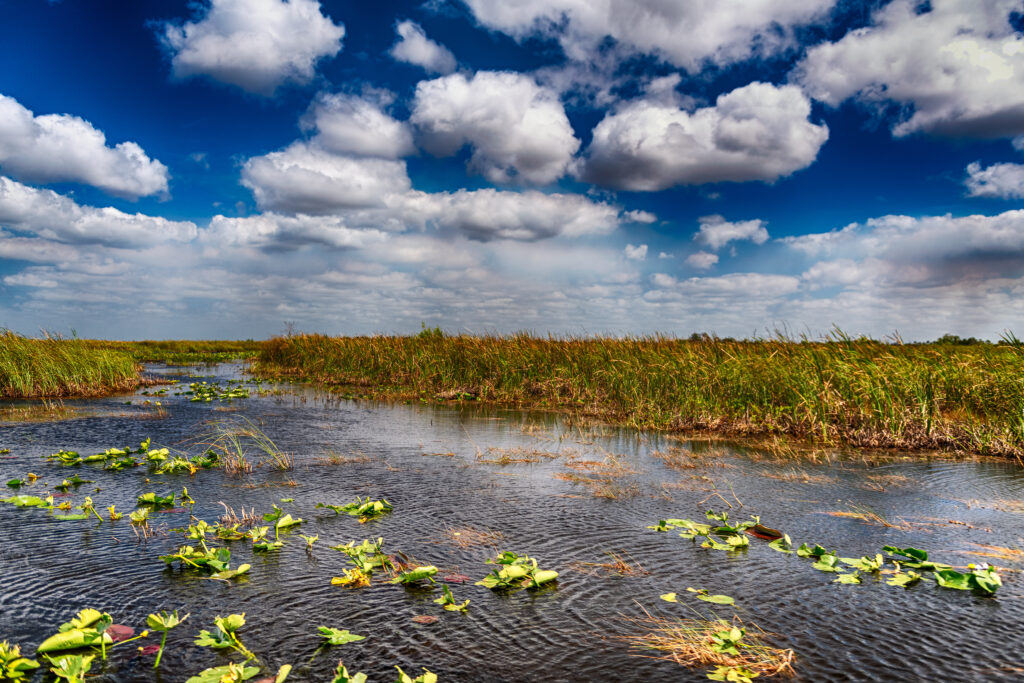 Wide view of the Everglades wetlands with open water and sawgrass prairies, showing the natural landscape explored during an Everglades airboat tour and guided airboat experience.