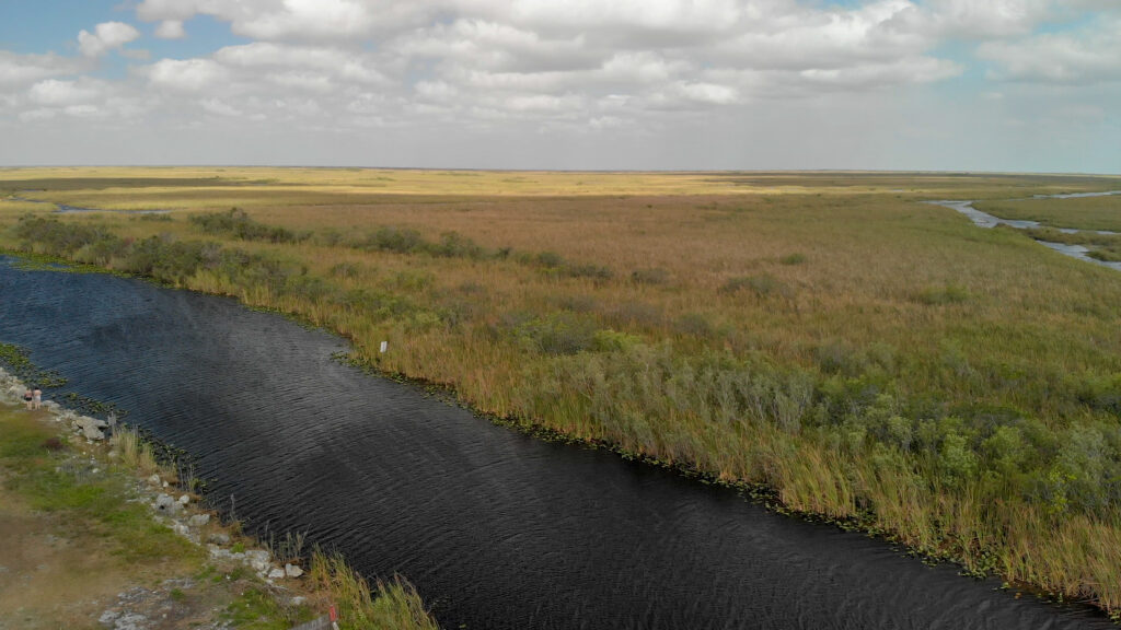 Everglades Animal Signs across the vast wetlands and waterways of the Florida Everglades
